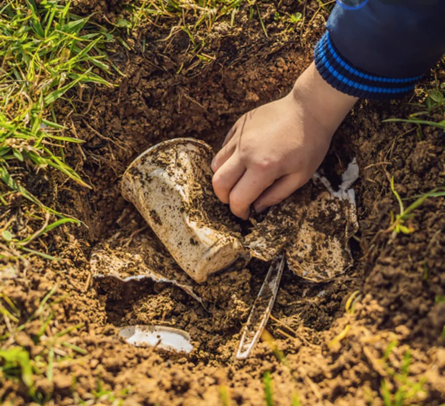 biodegradable plastic